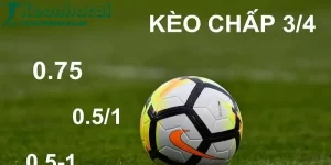 Tỷ Lệ Kèo Là Gì? Tại Sao Nó Quan Trọng Trong Cá Cược? 21 Tỷ lệ kèo là gì tructiepbongda360