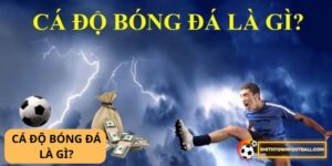 Cá độ bóng đá là gì? 9 CÁ độ bóng đá là gì