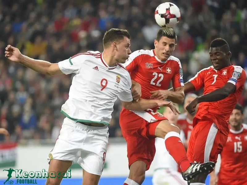 Soi kèo Hungary vs Thụy Sĩ, 20h00 ngày 15/06/2024 3 Soi kèo Hungary vs Thụy Sĩ - 20h00 ngày 15/06/2024