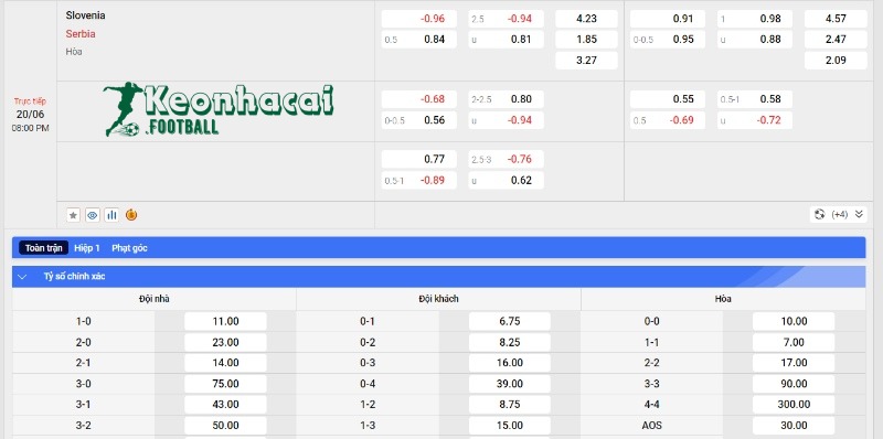 Soi kèo Slovenia vs Serbia, 20h00 ngày 20/06/2024 4 Soi kèo Slovenia vs Serbia - Tỷ lệ kèo Slovenia vs Serbia