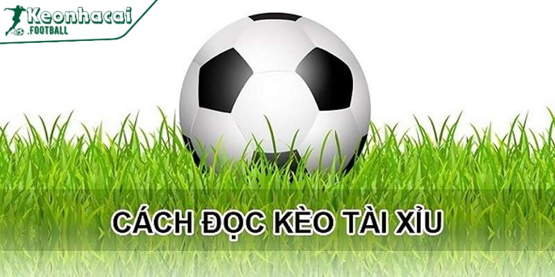 Cách đọc kèo bóng đá chuẩn xác mà tân thủ chưa hay biết 4 Cách đọc kèo tài xỉu đơn giản, không khó