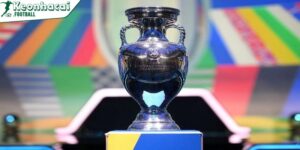 Bật mí Euro mấy năm 1 lần? Giải đầu tiên tổ chức ở đâu? 1 Phân biệt Euro và World Cup